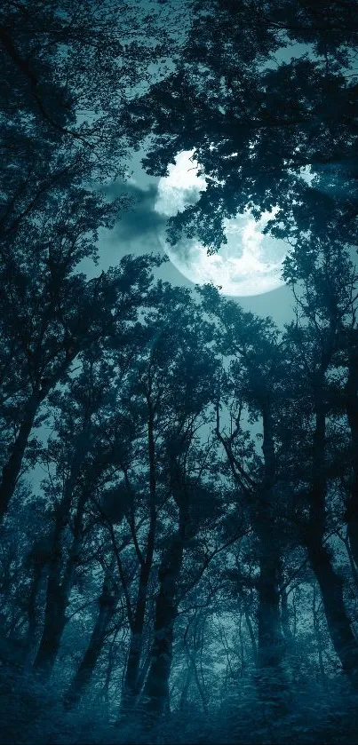 Moonlit forest scene with trees silhouetted against the night sky.