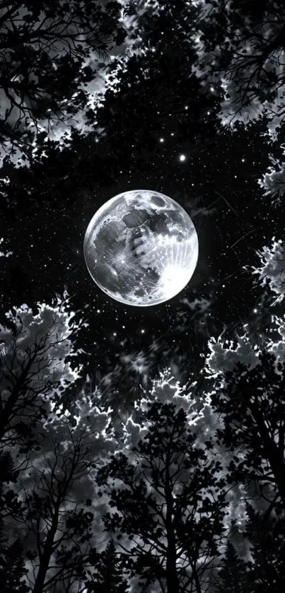 Moonlit forest with silhouetted trees and a bright full moon.