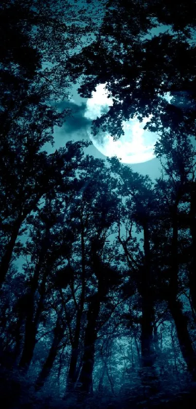 Mystical forest with a glowing moon illuminating the silhouette of trees.