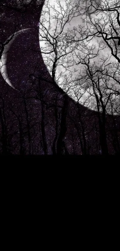 Silhouetted trees under moonlit starry night sky.