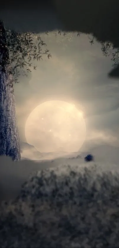 Moonlit forest with a full moon casting a mystical glow.