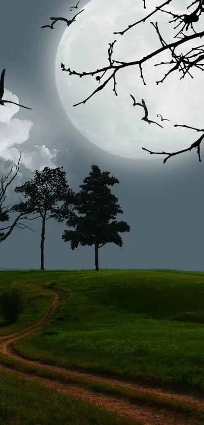 Moonlit landscape with silhouetted trees and a bright full moon in the night sky.