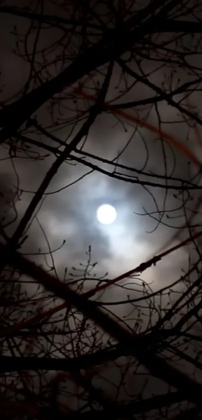 Moonlight peeking through dark bare branches on a cloudy night.