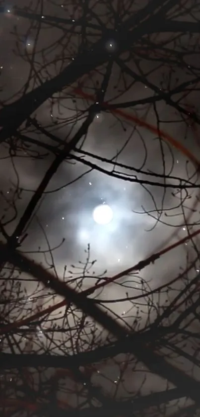 Full moon behind silhouetted tree branches on a starry night.