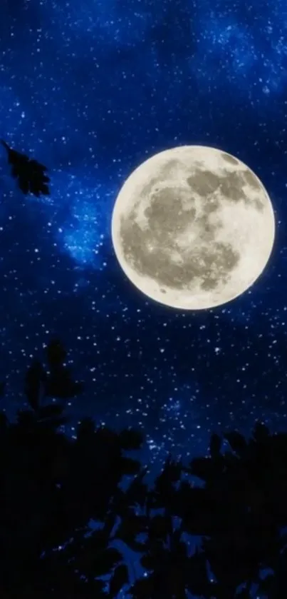 Full moon illuminating a starry dark blue night sky with silhouettes of leaves.