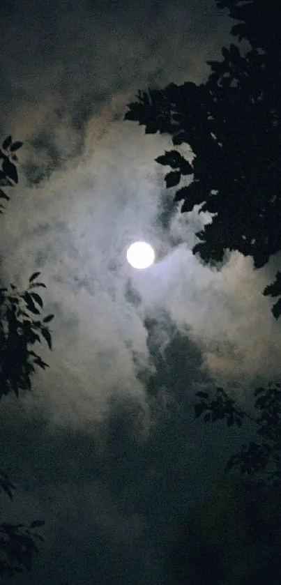 Moonlit night sky with tree silhouettes enhancing mystery.