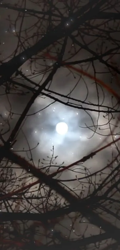 Mysterious moonlit night sky with silhouetted branches and clouds.