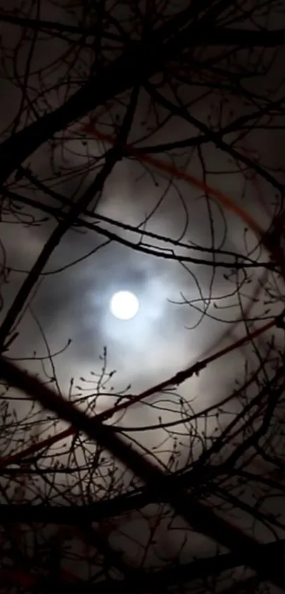 Moonlit night sky with tree branches silhouetted against the dark clouds.