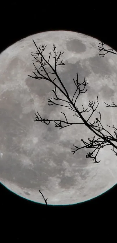 Mobile wallpaper featuring a full moon and tree branches against a black sky.