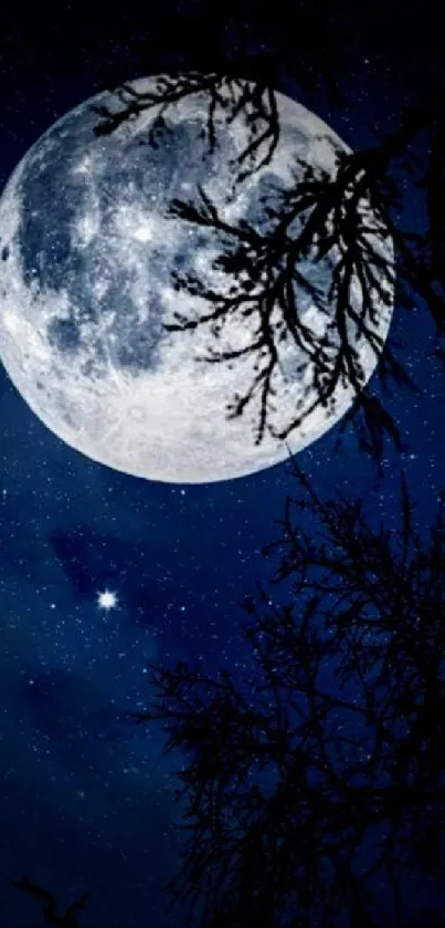 Luminous full moon in a starry night sky with silhouetted tree branches.