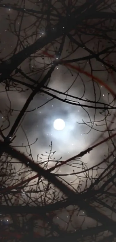 Mystical night wallpaper with moon and branches silhouetted in the dark sky.