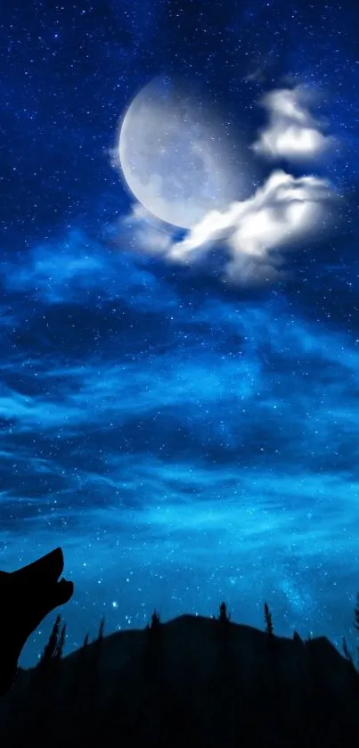 Wolf silhouetted against a starry, moonlit night sky.