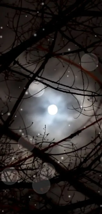 Mystical moonlit night with silhouetted tree branches and glowing sky.