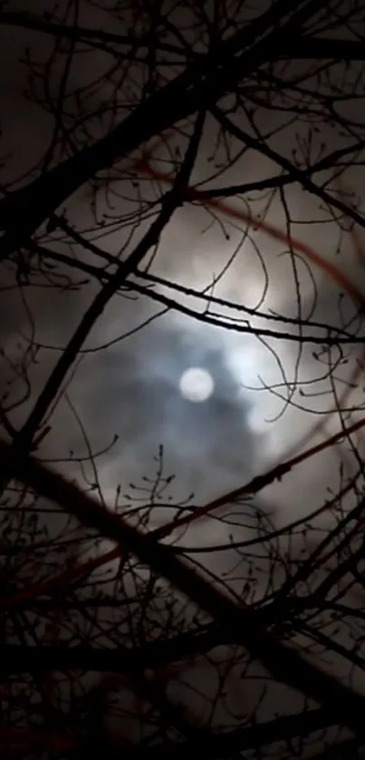 Moonlit silhouette of branches at night with a cloudy sky.