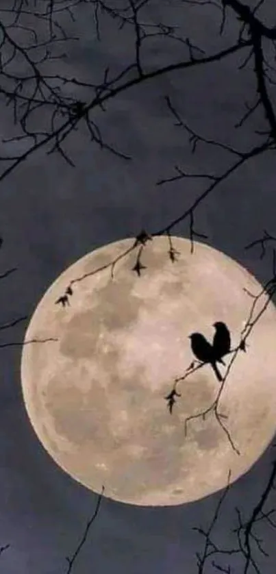 Dark branches silhouette against full moon background.