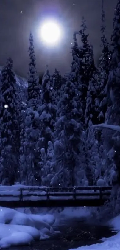 Moonlit winter forest with snow-covered trees and a glowing night sky.