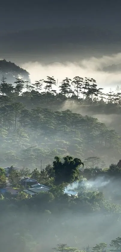 Misty mountain view with lush greenery and gentle fog.