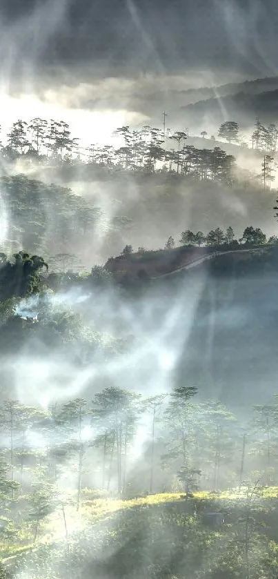 Serene mountain landscape with misty morning view.