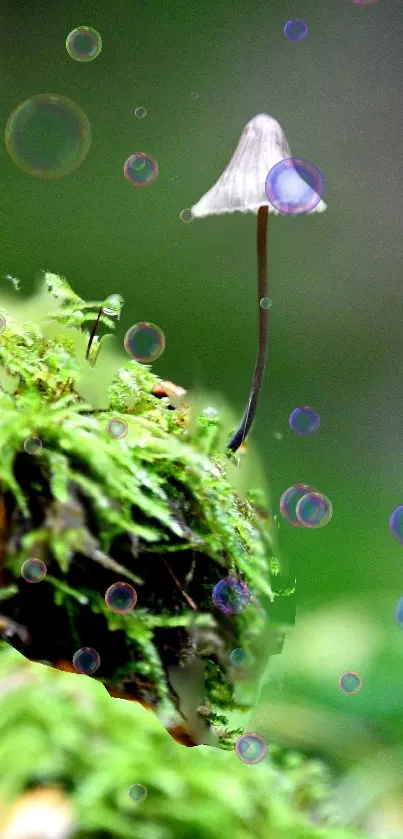 Mystical mushroom on green forest background with bubbles.