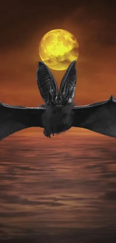 Bat in flight against a sunset backdrop.