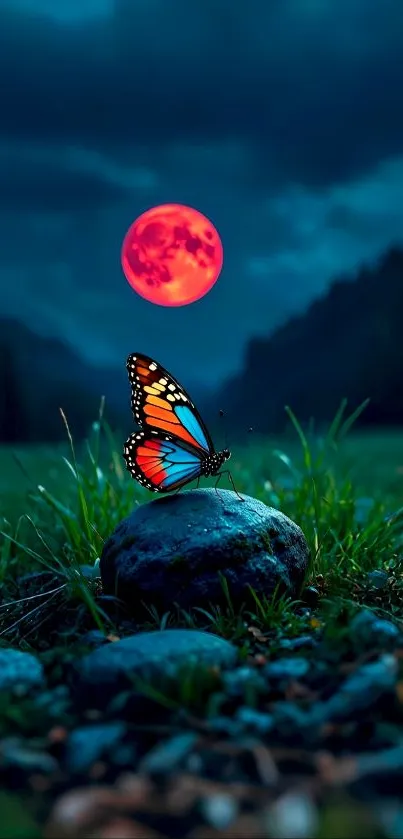 Butterfly on rock with red moon in background.