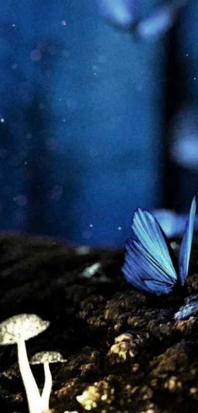 Mystical scene with blue butterfly and glowing mushrooms at night.