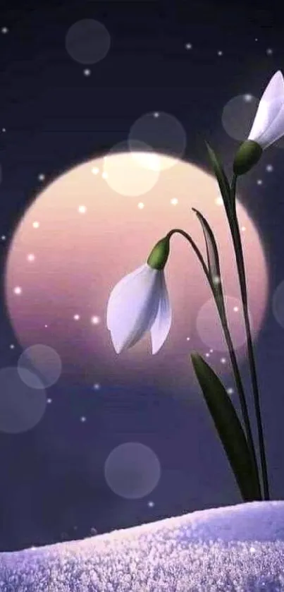 Snowdrops under a full moon in a mystical night setting wallpaper.