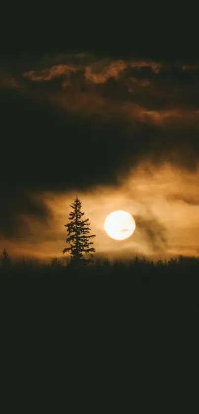 Silhouetted trees with a glowing moon in a dark, cloudy night sky.