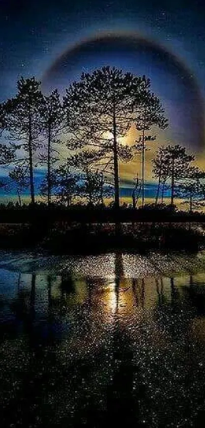 Mystical forest at night with moonlight reflections on water.