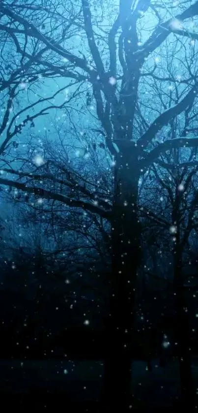 Mystical night forest with stars glowing in the dark blue sky.