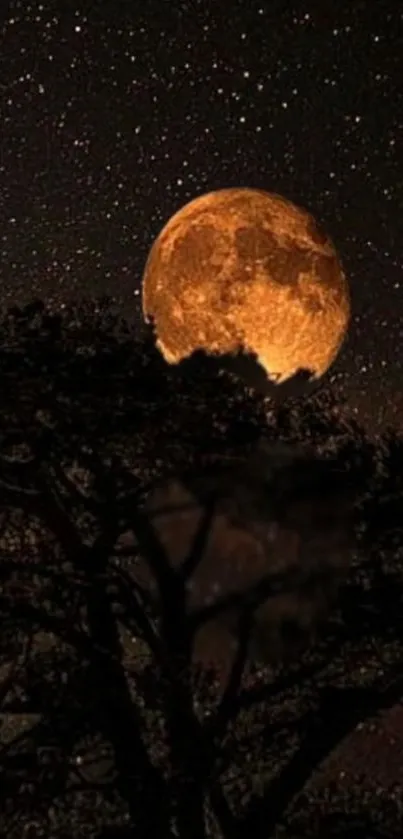 Glowing full moon with tree silhouettes under a starry night sky.