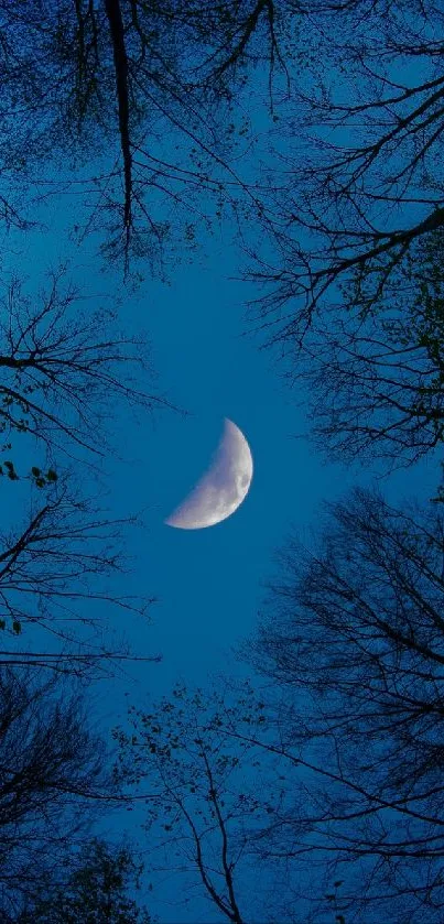 Crescent moon shining through tree branches at night.