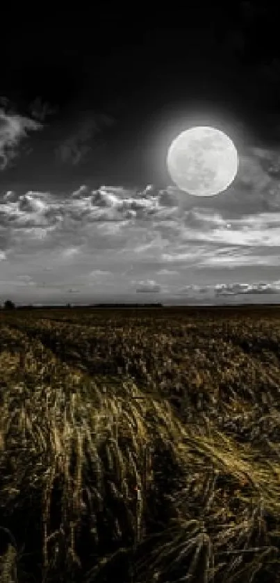 Moonlit field under dramatic night sky