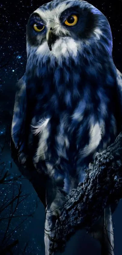 A majestic deep blue owl perched in a starry night scene.