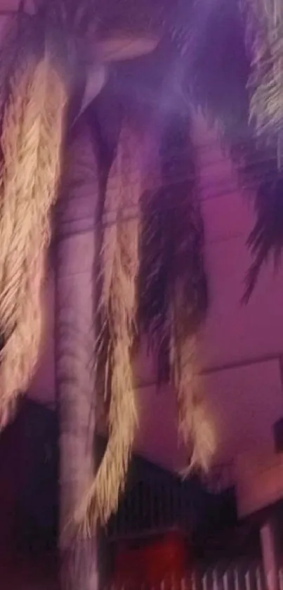 Blurry palm tree against vibrant purple night sky.