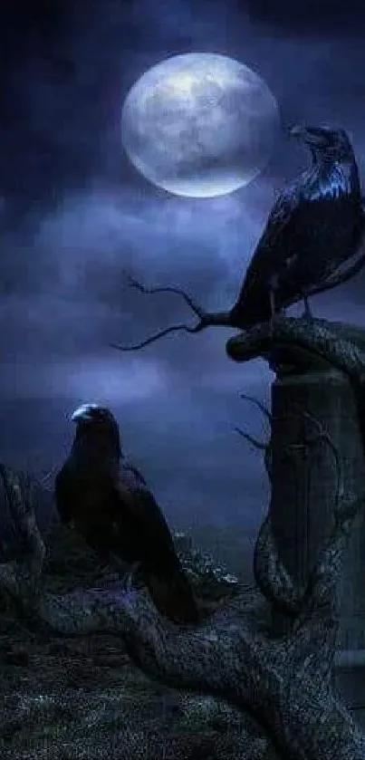 Two ravens on a tree under a full moon in a dark sky.