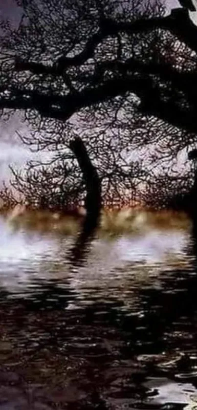 Silhouette of tree reflected on water with a mystical night sky.