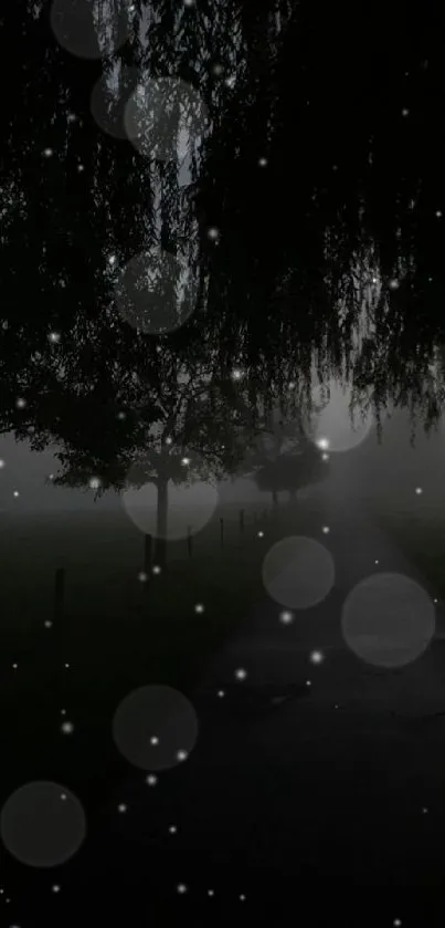 A mystical road at night with glowing orbs and trees, captured in a wallpaper.