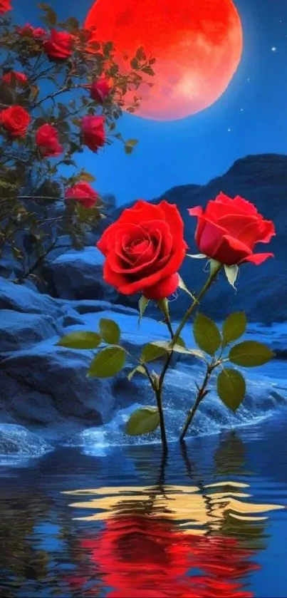 Red roses by moonlit blue night sky reflecting in water.