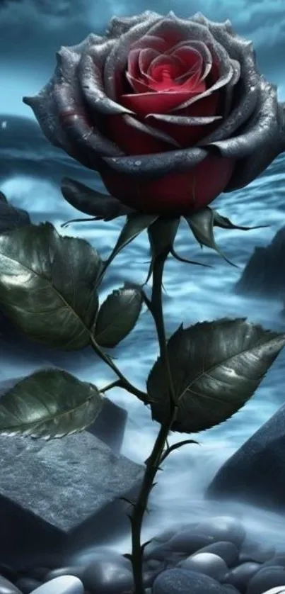 Red mystical rose by the ocean on a dark night.
