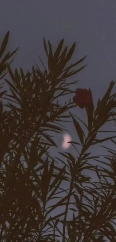 Silhouetted branches against a crescent moon in the night sky.