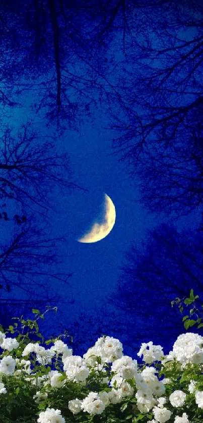 A crescent moon over white roses with a midnight blue sky background.