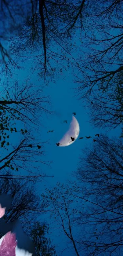 Crescent moon and tree silhouette under a deep blue sky.