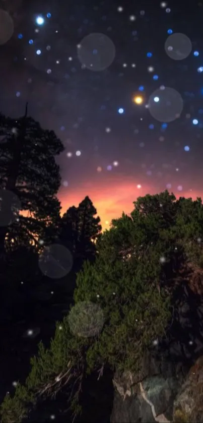 Starry night sky above forest silhouette with glowing stars.