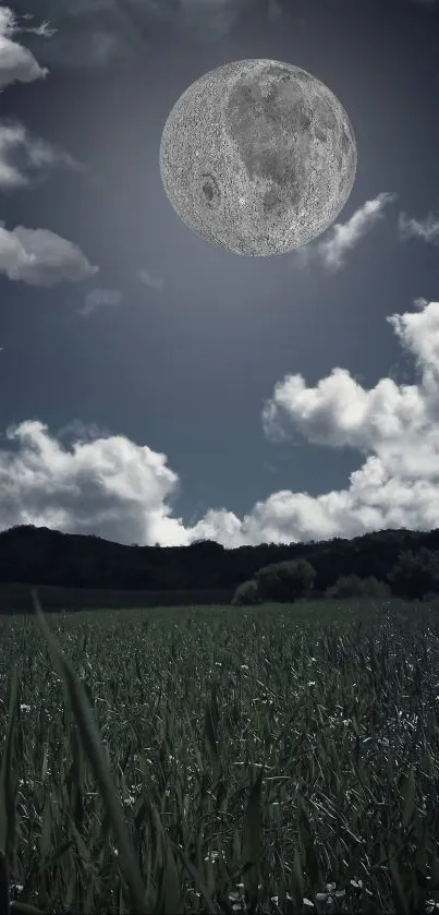 Night landscape with a full moon and scattered clouds.