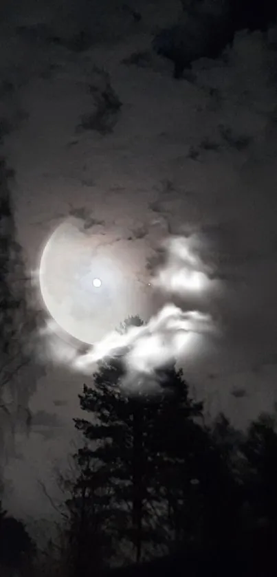 Mystical night sky with moon and silhouettes of trees.