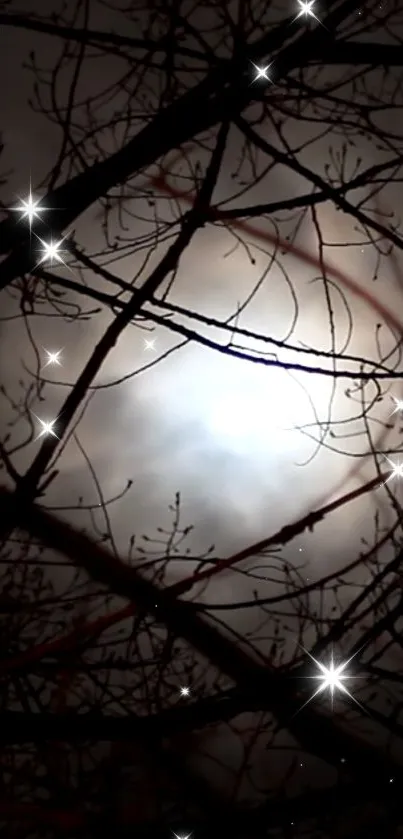 Mystical night sky with stars and silhouetted branches.