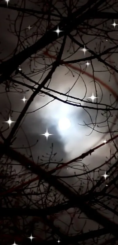 Mystical night sky with moon and stars behind branches.