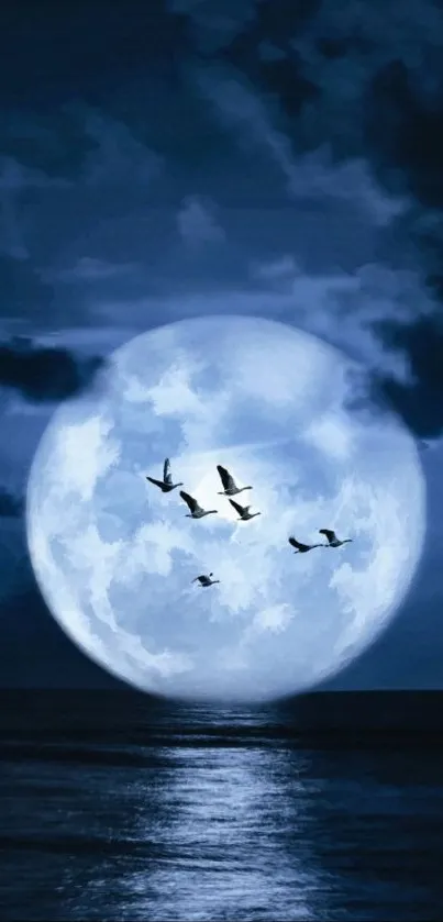 Beautiful night sky wallpaper with full moon and birds over ocean.