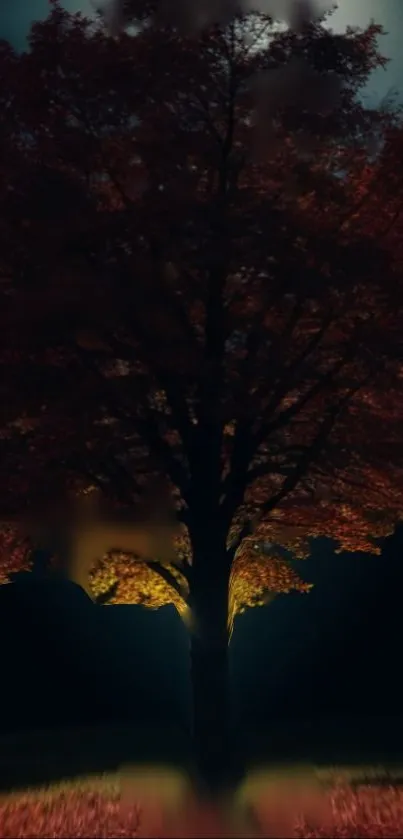 A beautifully lit tree against a dark, mystical sky.